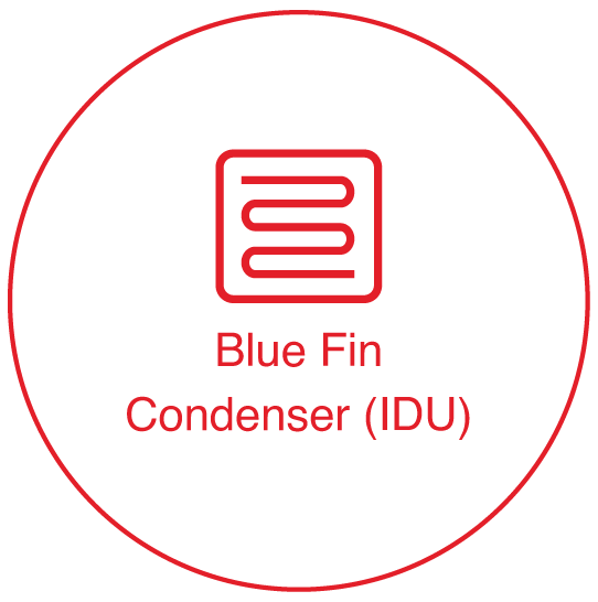Blue Fin